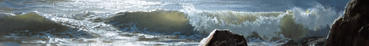 Bramston Beach detail