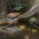 The Lyrebird can be shy, and difficult to see, but its amazing mimicry of other birds and manmade sounds has been well documented.  This painting shows a male searching for food amongst the debris on the forest floor.