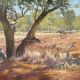 This painting is from the channel country in south west Queensland, and was intended as a landscape only, but when finished it needed a touch of life, and so as I had seen an Emu with chicks in the area they were painted in and added some movement to the painting.