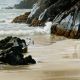 This is a place at Seal Rocks on the NSW coast near Myall Lakes National Park. The tide is low exposing the red weed that is hidden when the tide is in. As each wave breaks and rolls back to the sea the wet sand is left glistening and the morning light is reflected by the wet rocks.